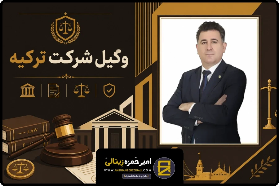 تصویر شاخص | وکیل شرکت ترکیه